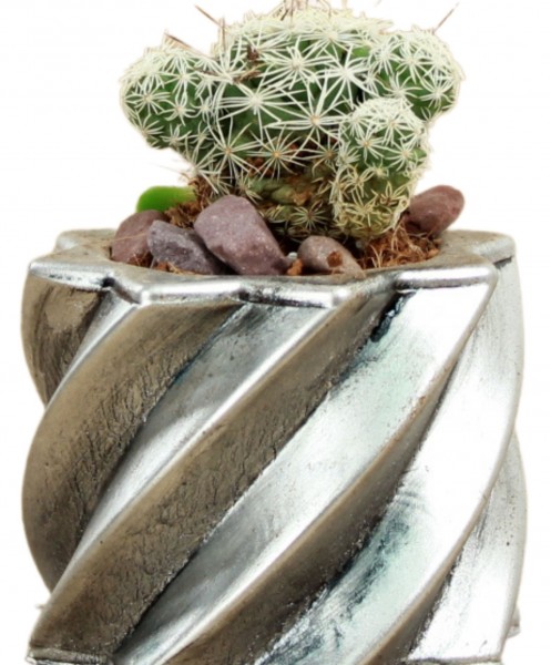 Mini Çiçek Saksı Küçük Sukulent Gümüş Eskitme Kaktüs Saksısı Kalın Çizgili Yıldız Model